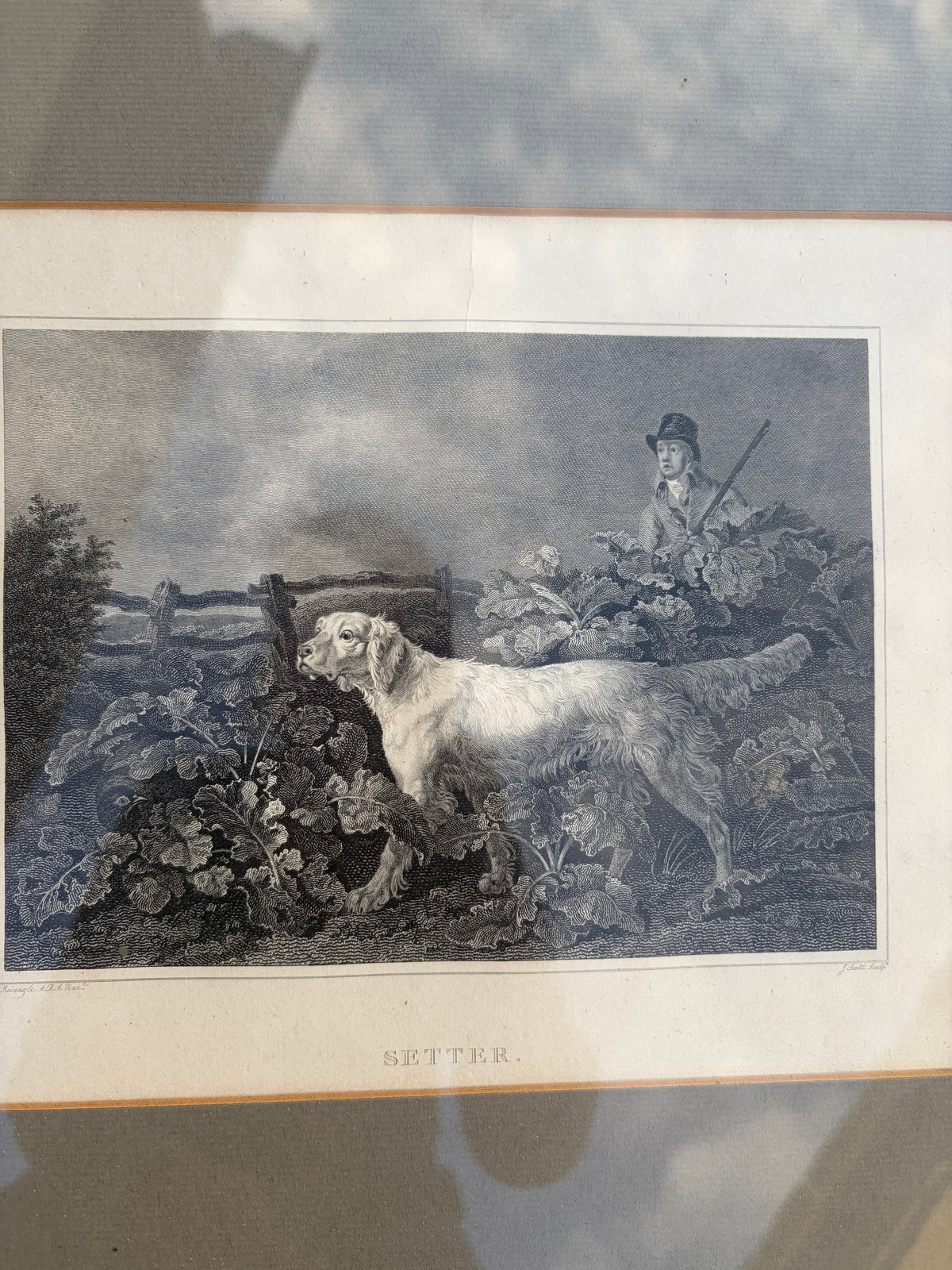 HUNTING DOGS