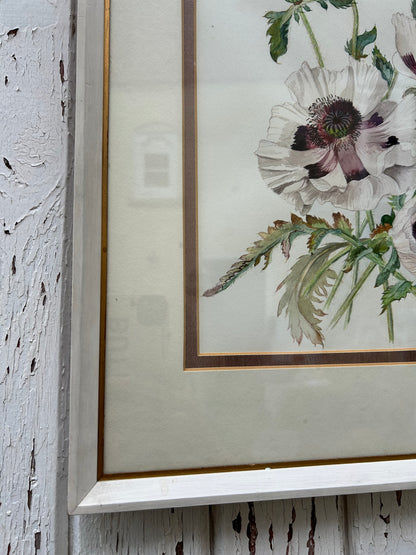 POPPIES PICTURE