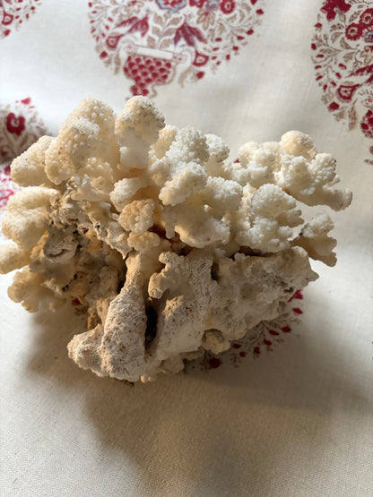 CORAL