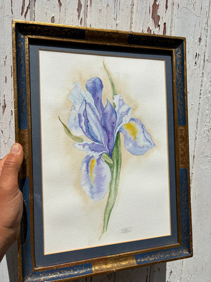 IRIS WATERCOLOUR