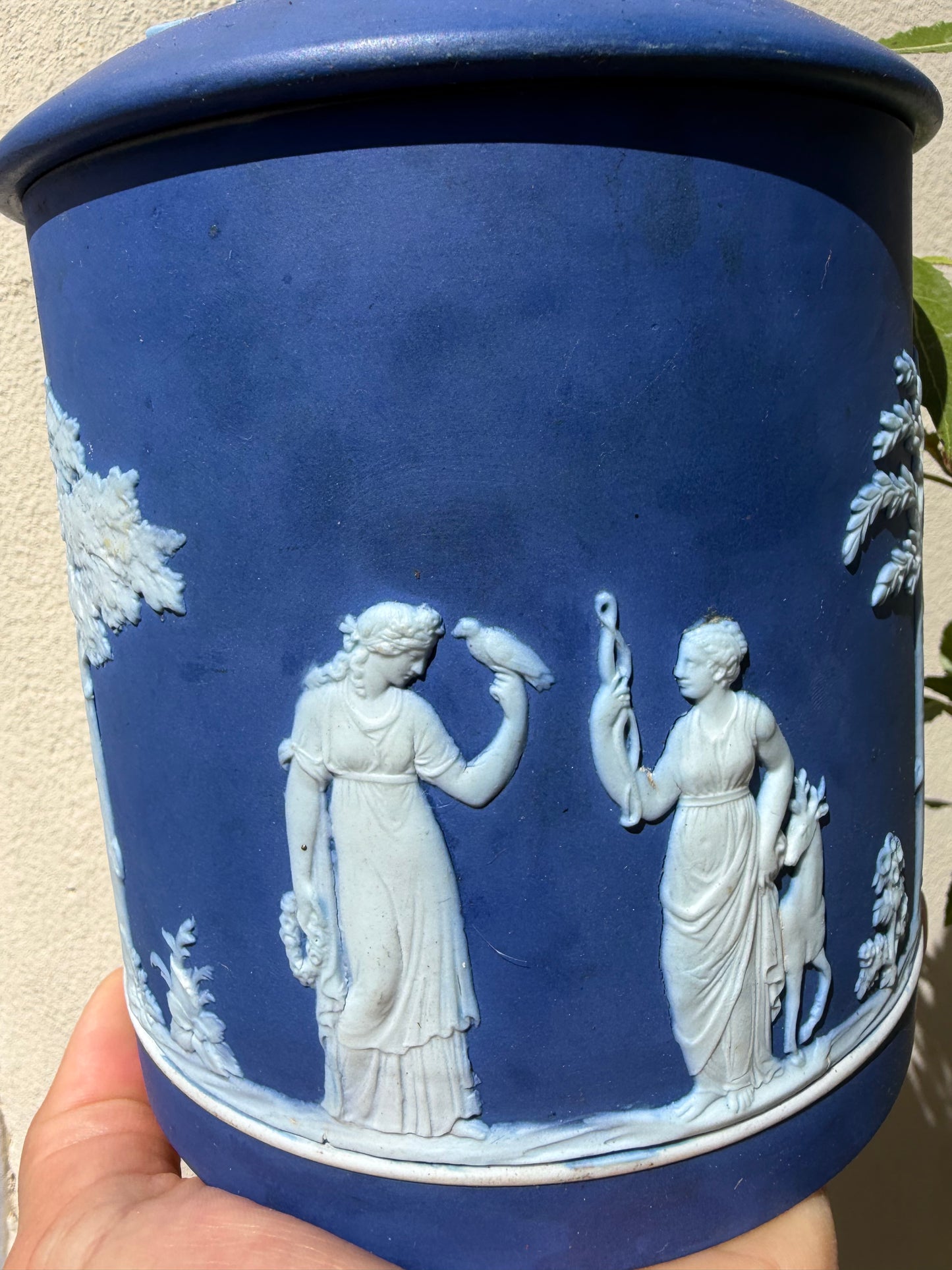 WEDGWOOD POT
