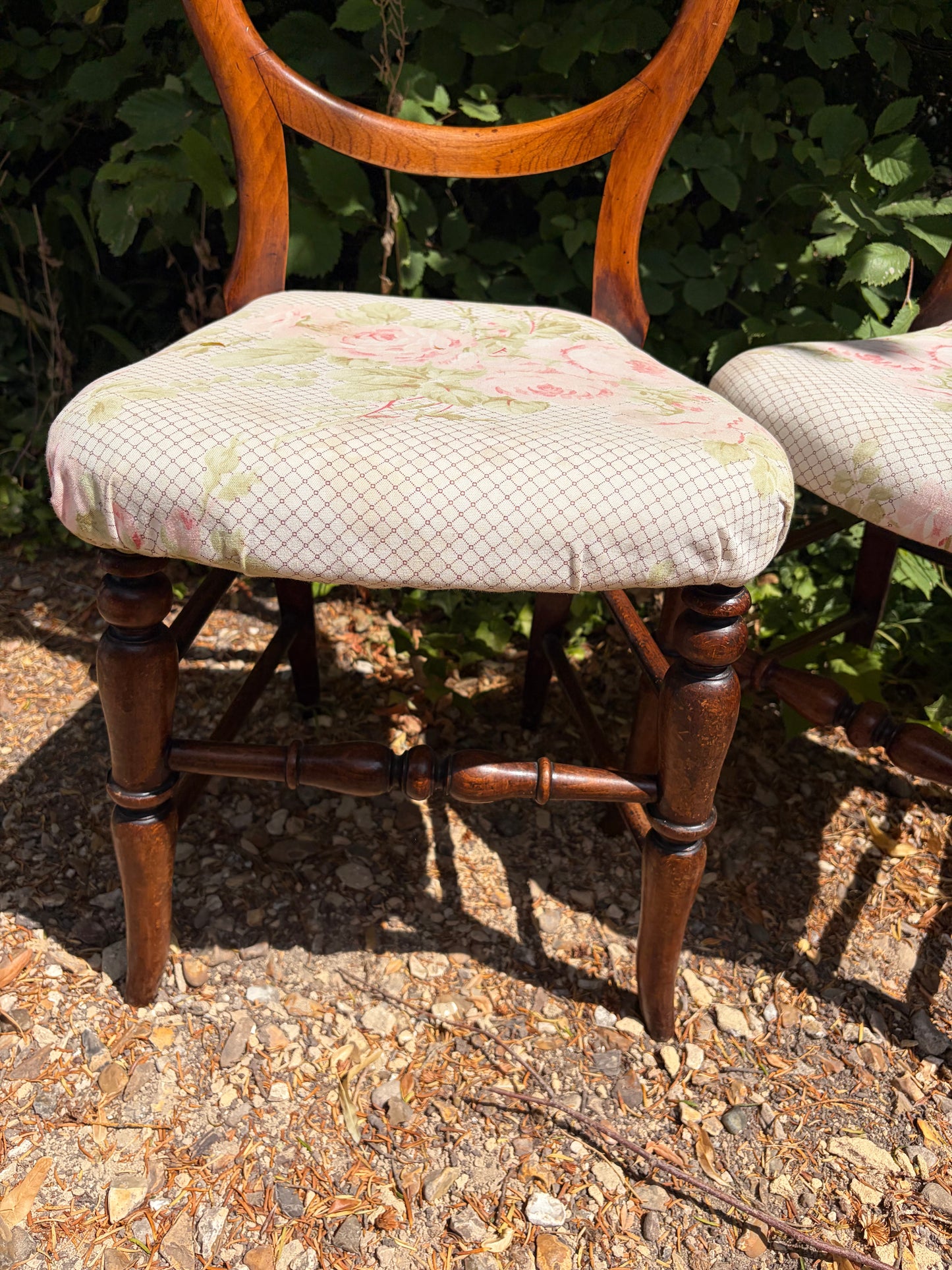 PAIR BALOON BACK CHAIRS