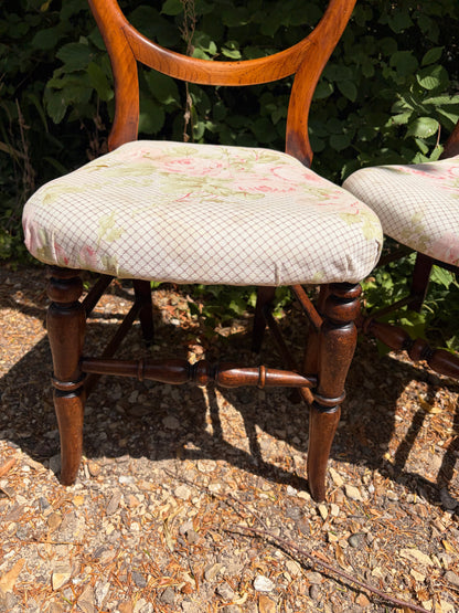 PAIR BALOON BACK CHAIRS