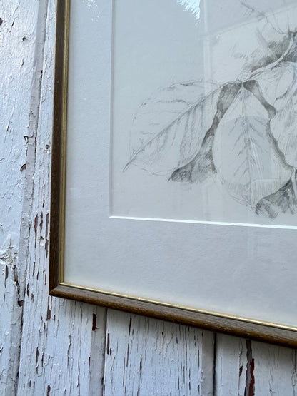 OAK LEAVES DRAWING