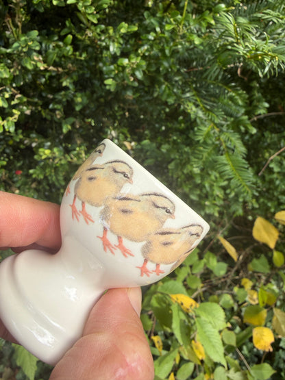 EGGCUP