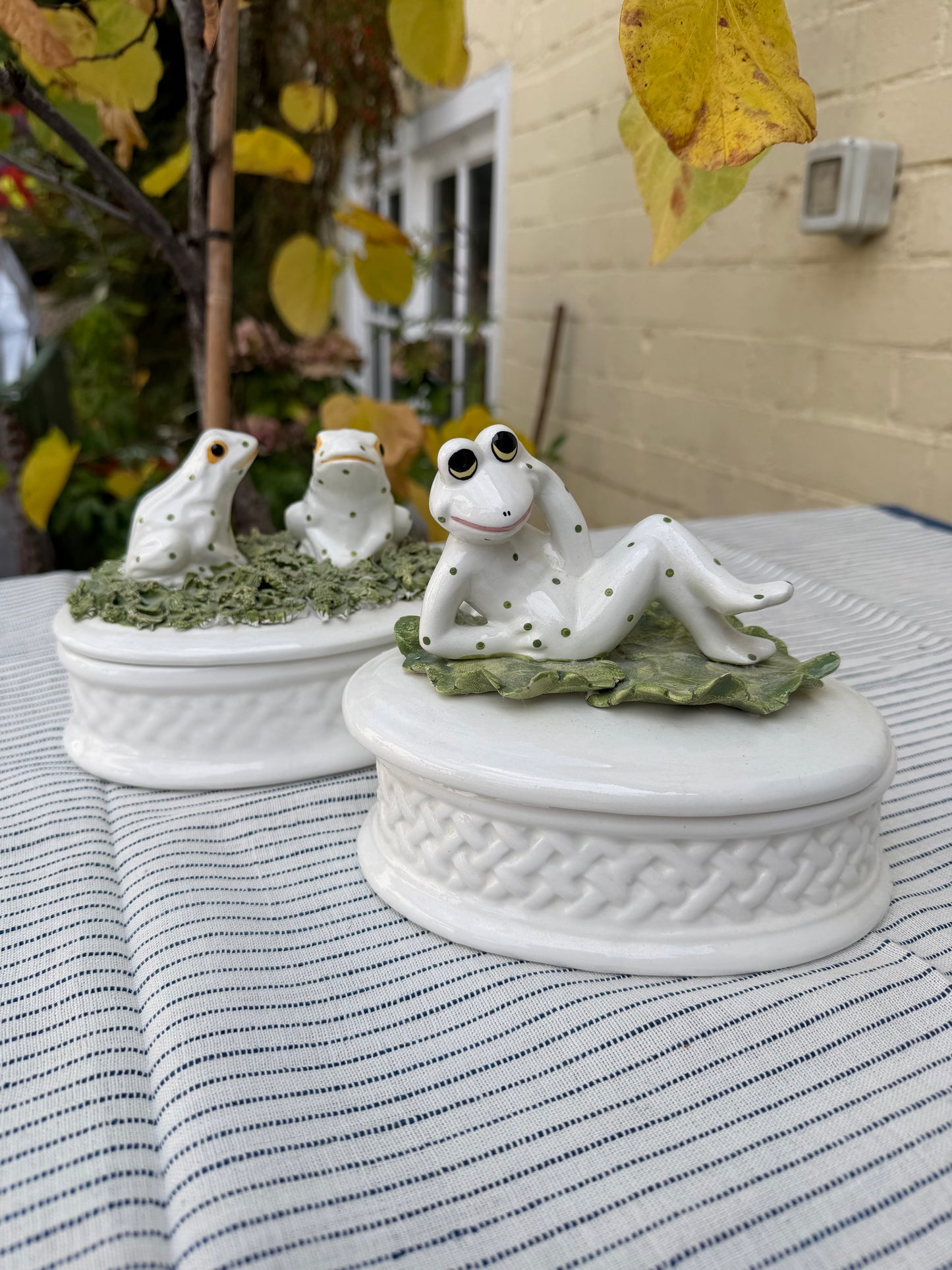 FROG JARS