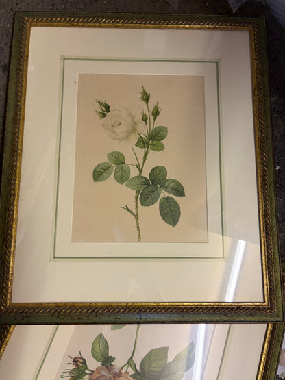 FRAMES AND FLOWER PRINTS