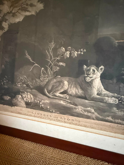 STUBBS PRINT