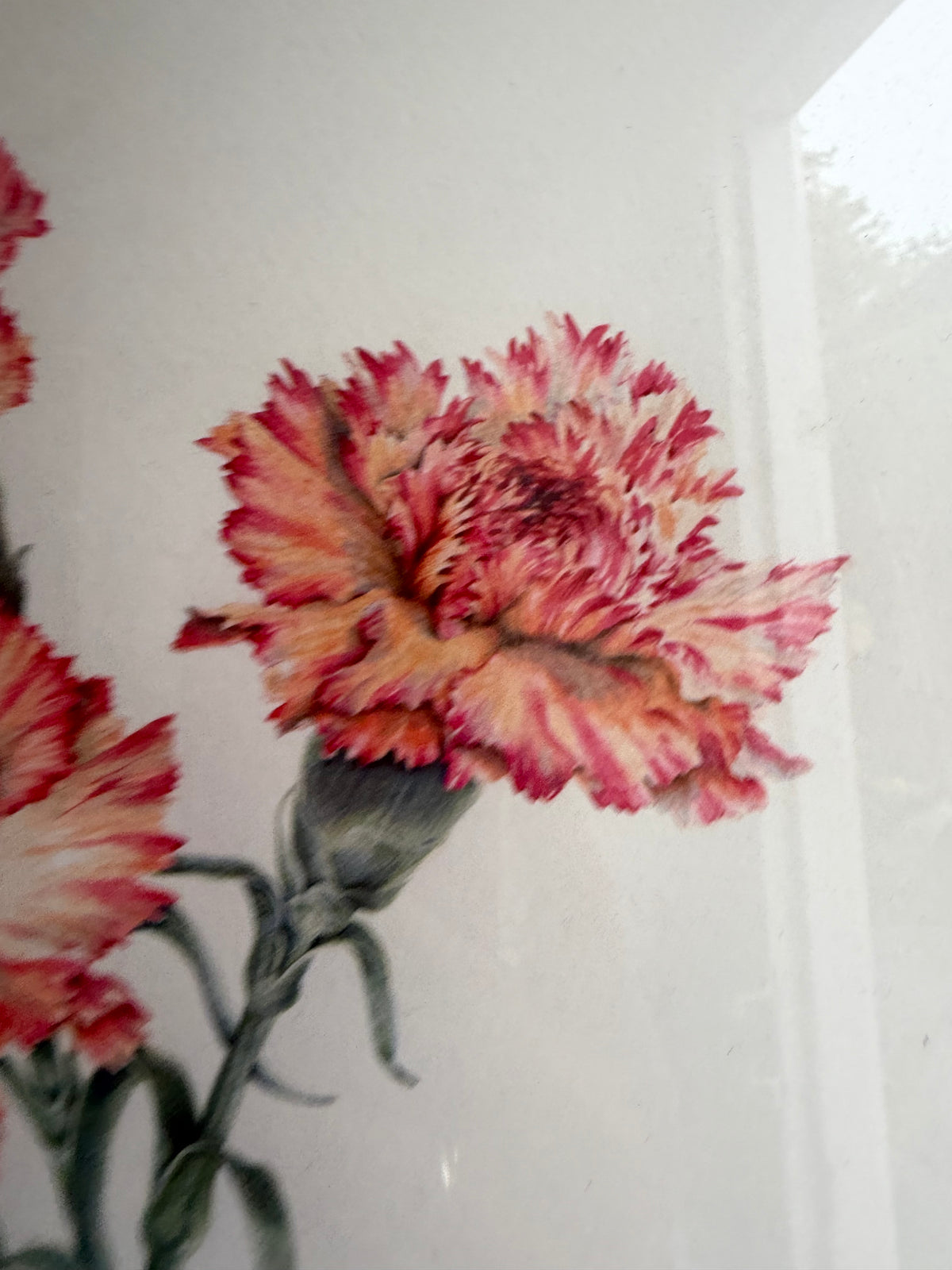 FLOWER PICTURE