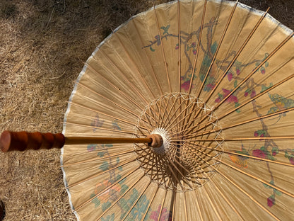 PARASOL