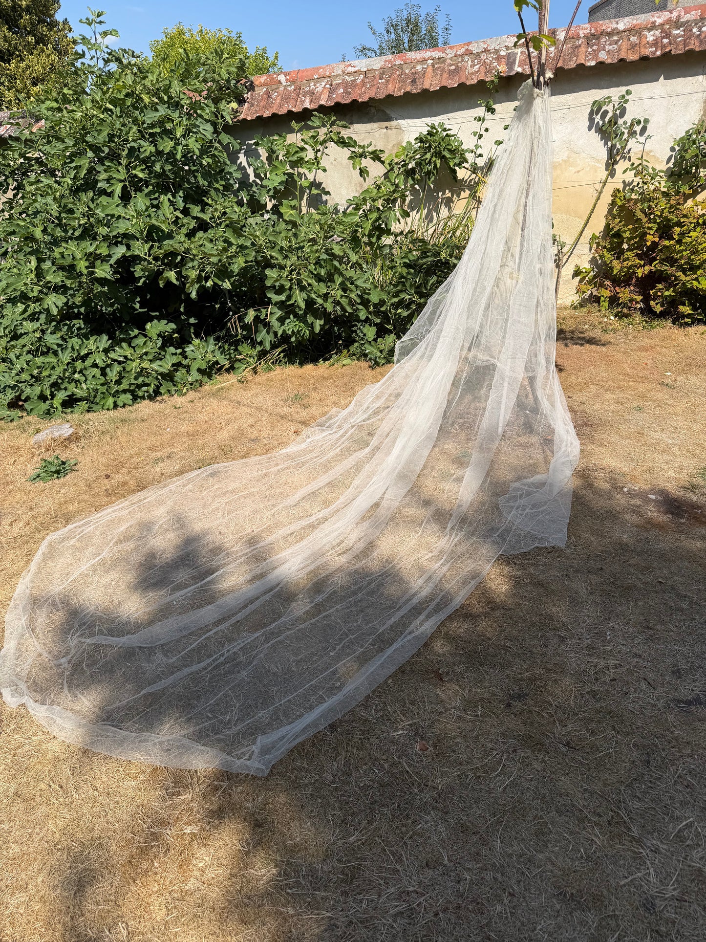 ANTIQUE VEIL