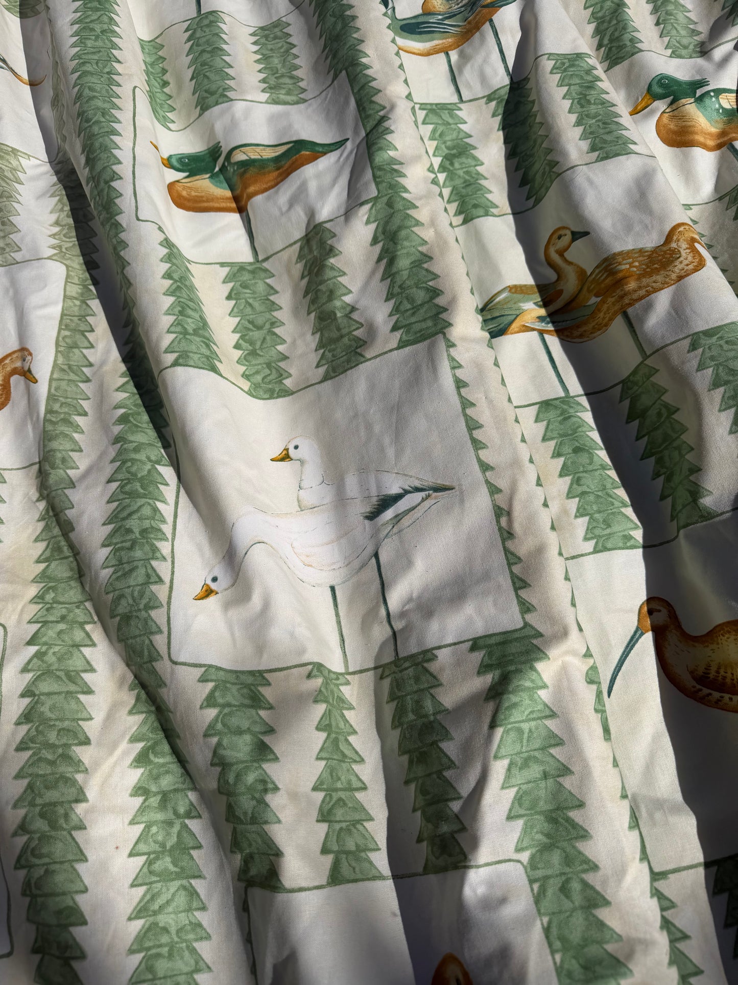 CURTAINS