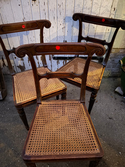 CANE CHAIRS