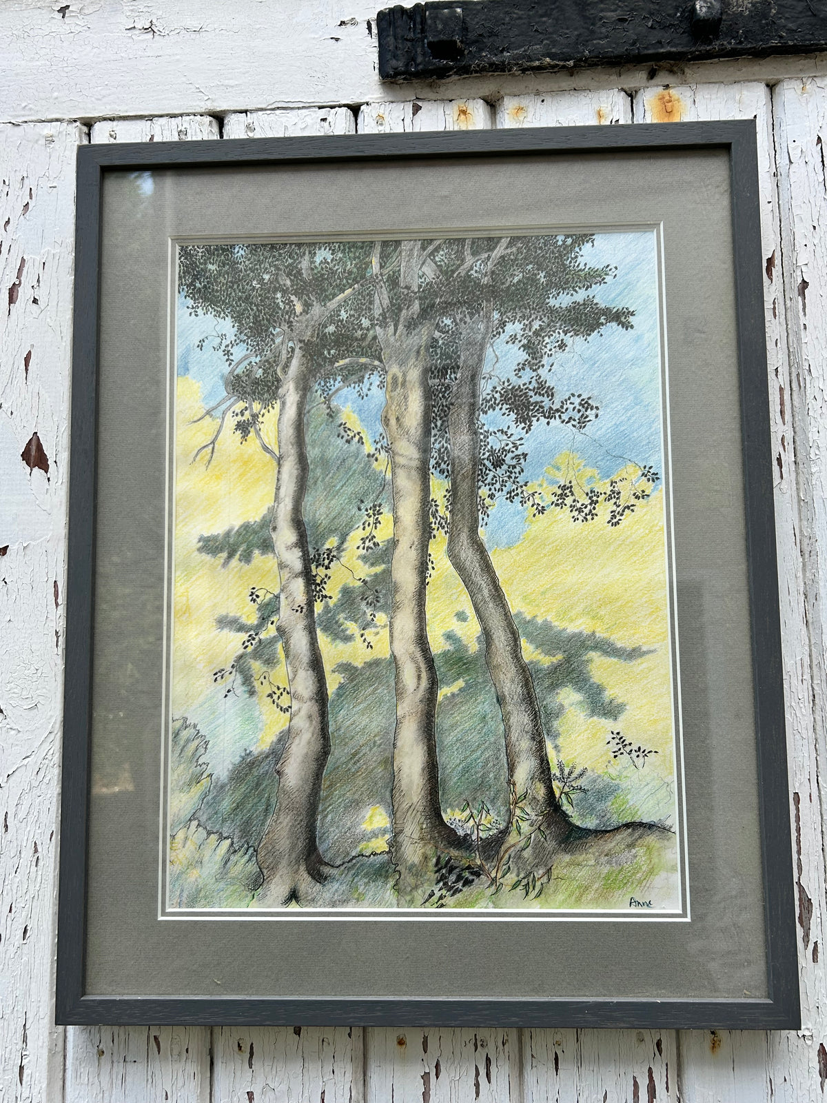 TREE DRAWING