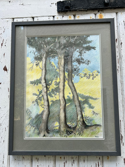 TREE DRAWING