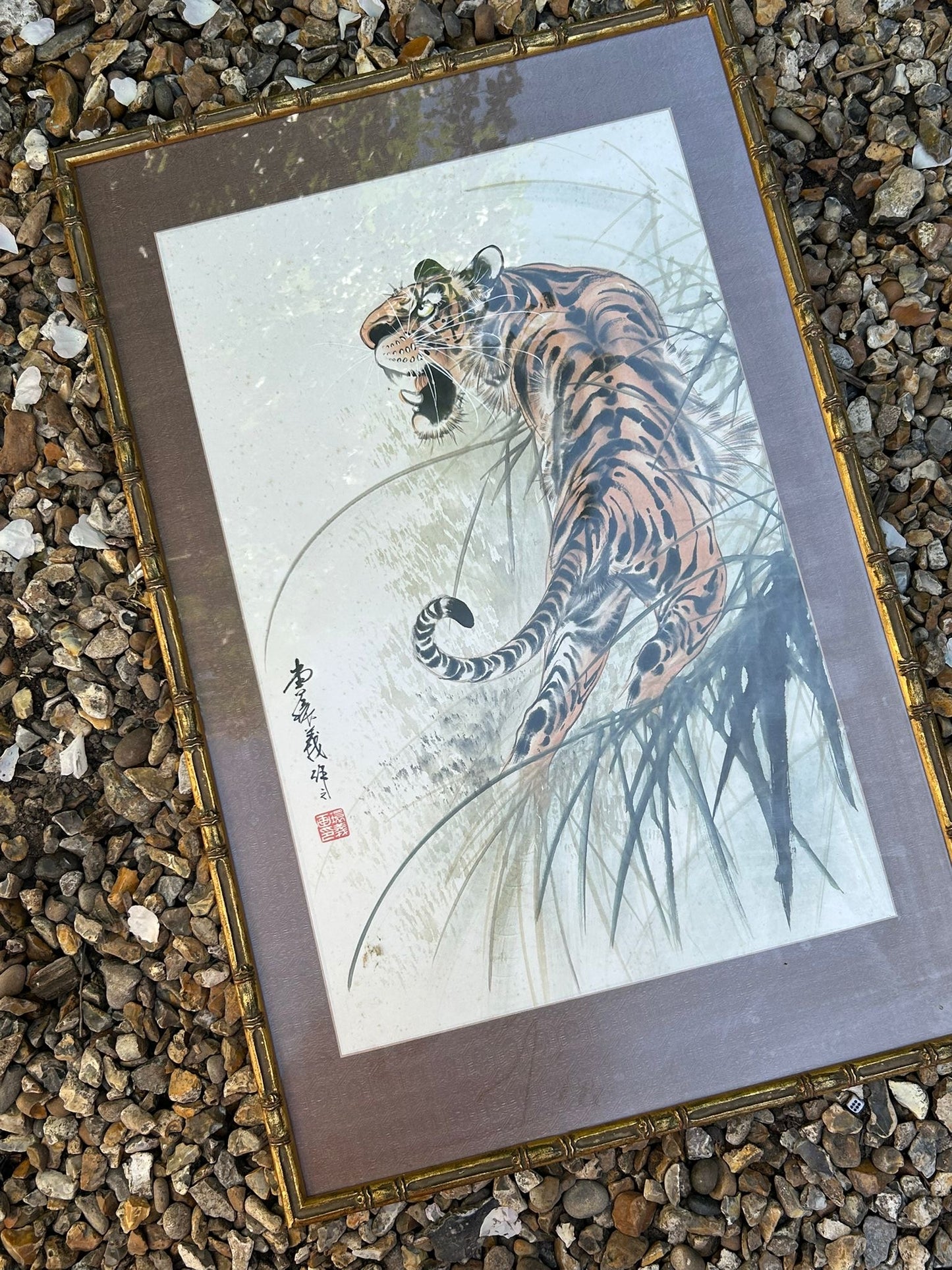 TIGER PICTURE