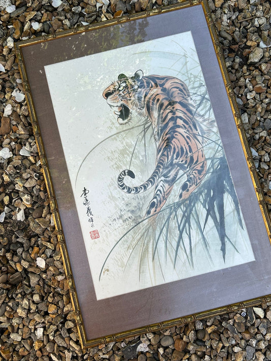 TIGER PICTURE