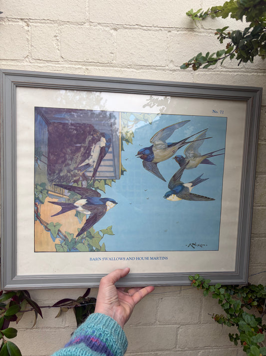 SWALLOWS PRINT