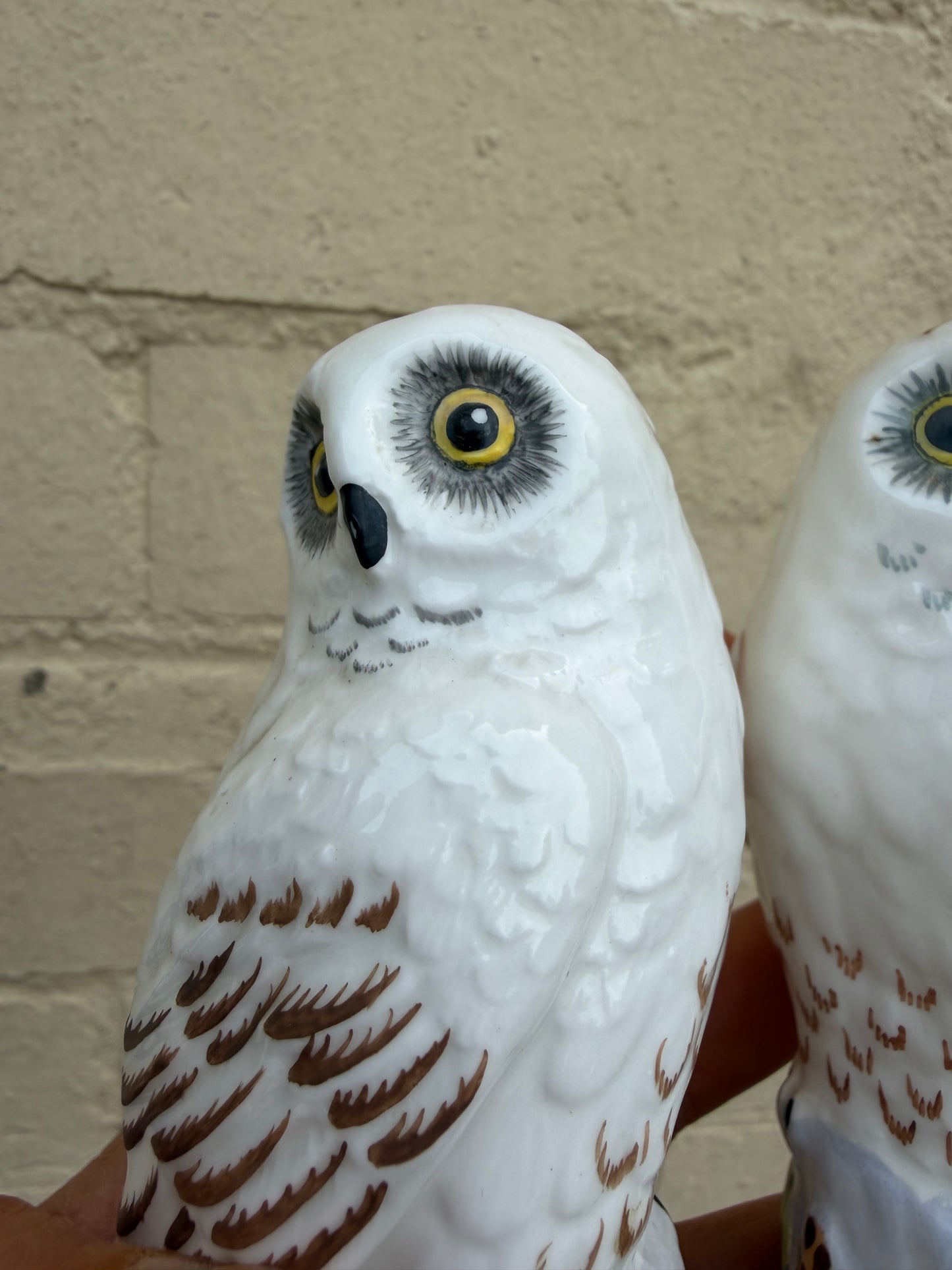 TWO OWLS