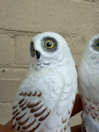TWO OWLS