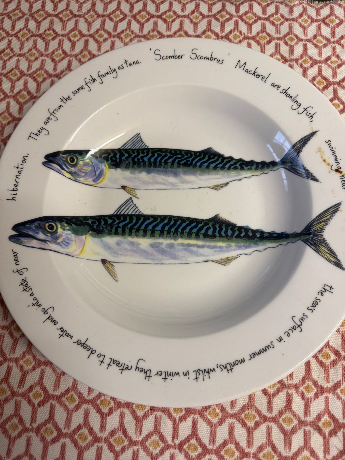 LARGE MACKEREL PLATE