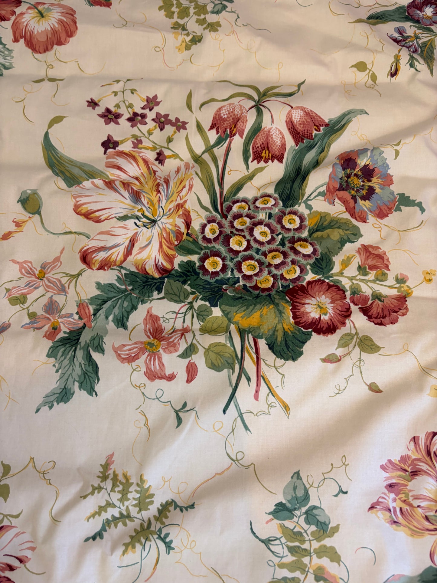 BLIND COLEFAX