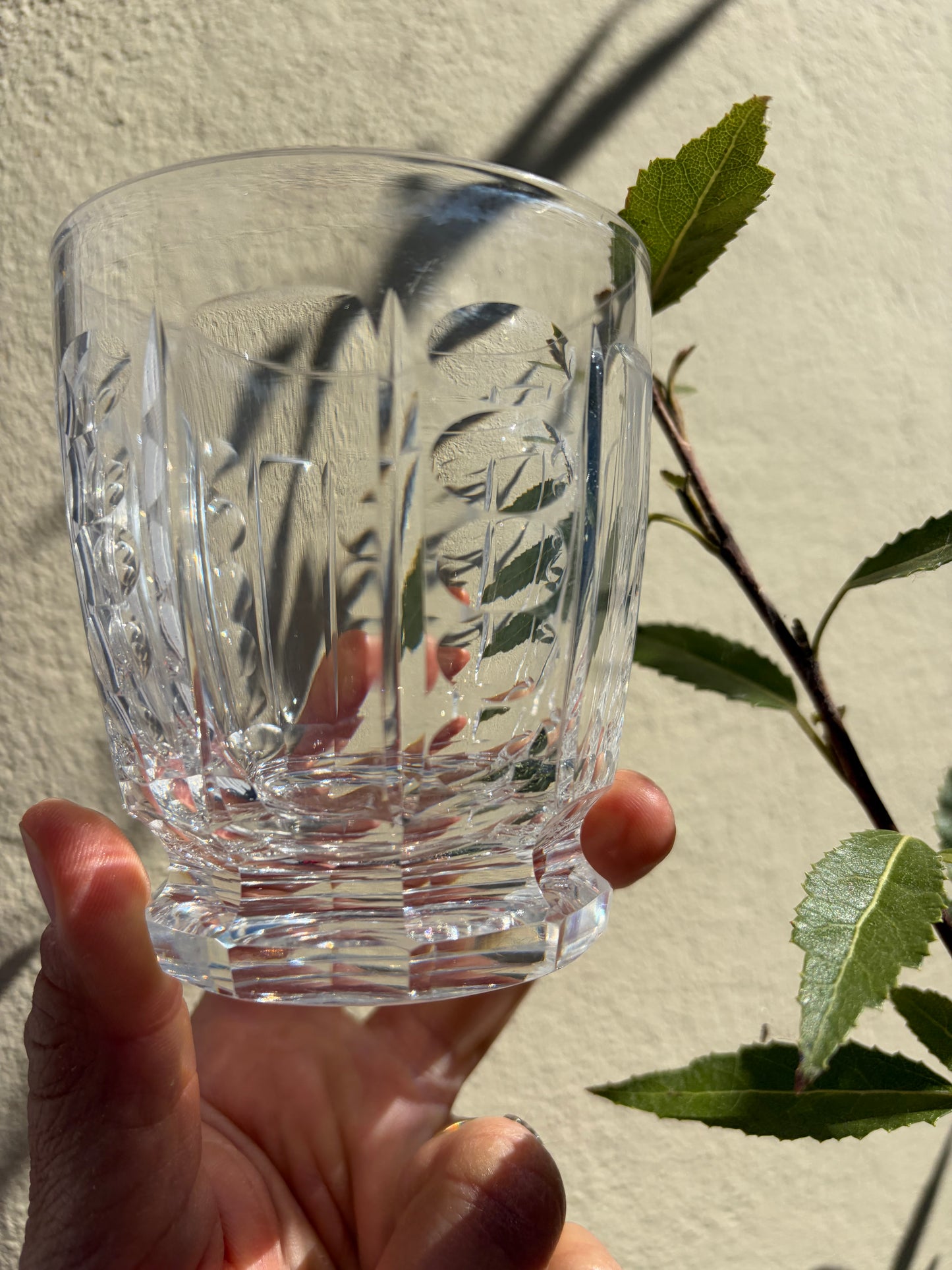 WATER GLASSES