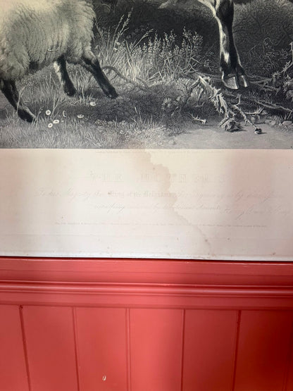 LANDSEER PRINT