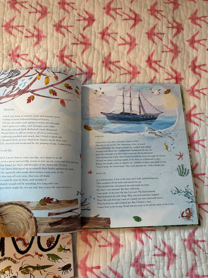 STORYBOOKS