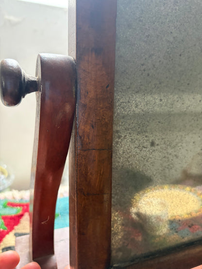 SWING MIRROR