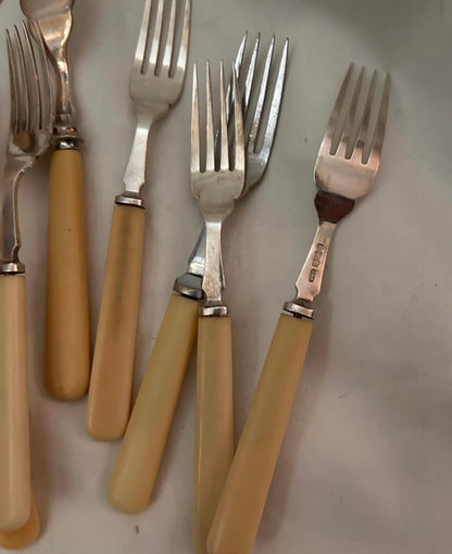 SILVER, BONE HANDLES
