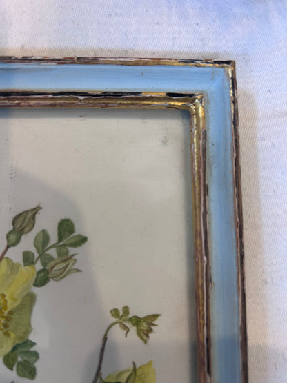 PRINT IN FRAME