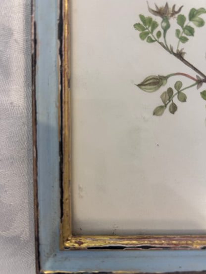 PRINT IN FRAME