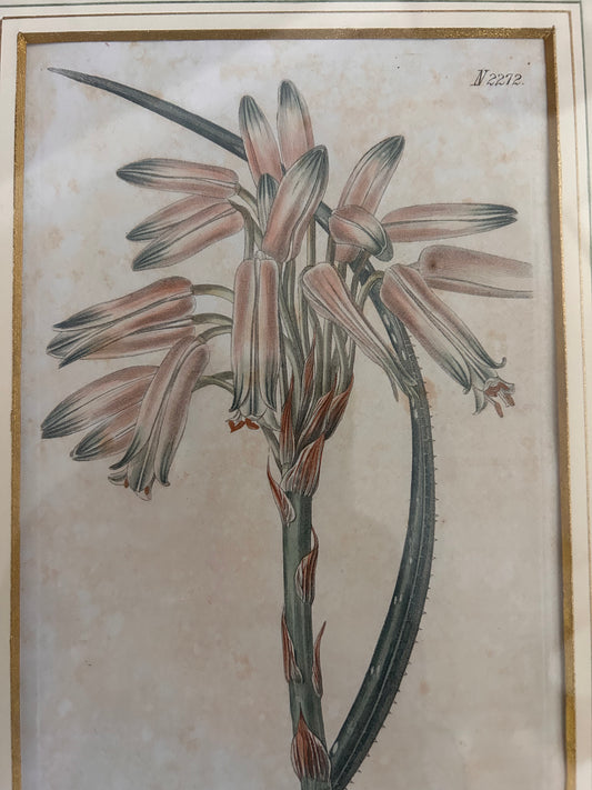 PRINT IN A FRAME