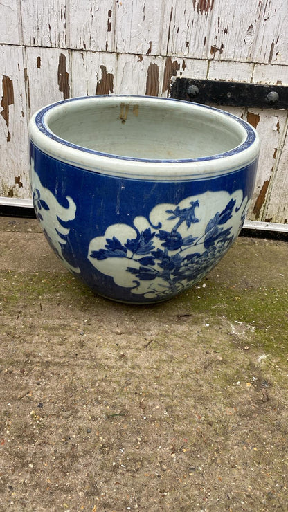 MASSIVE POT
