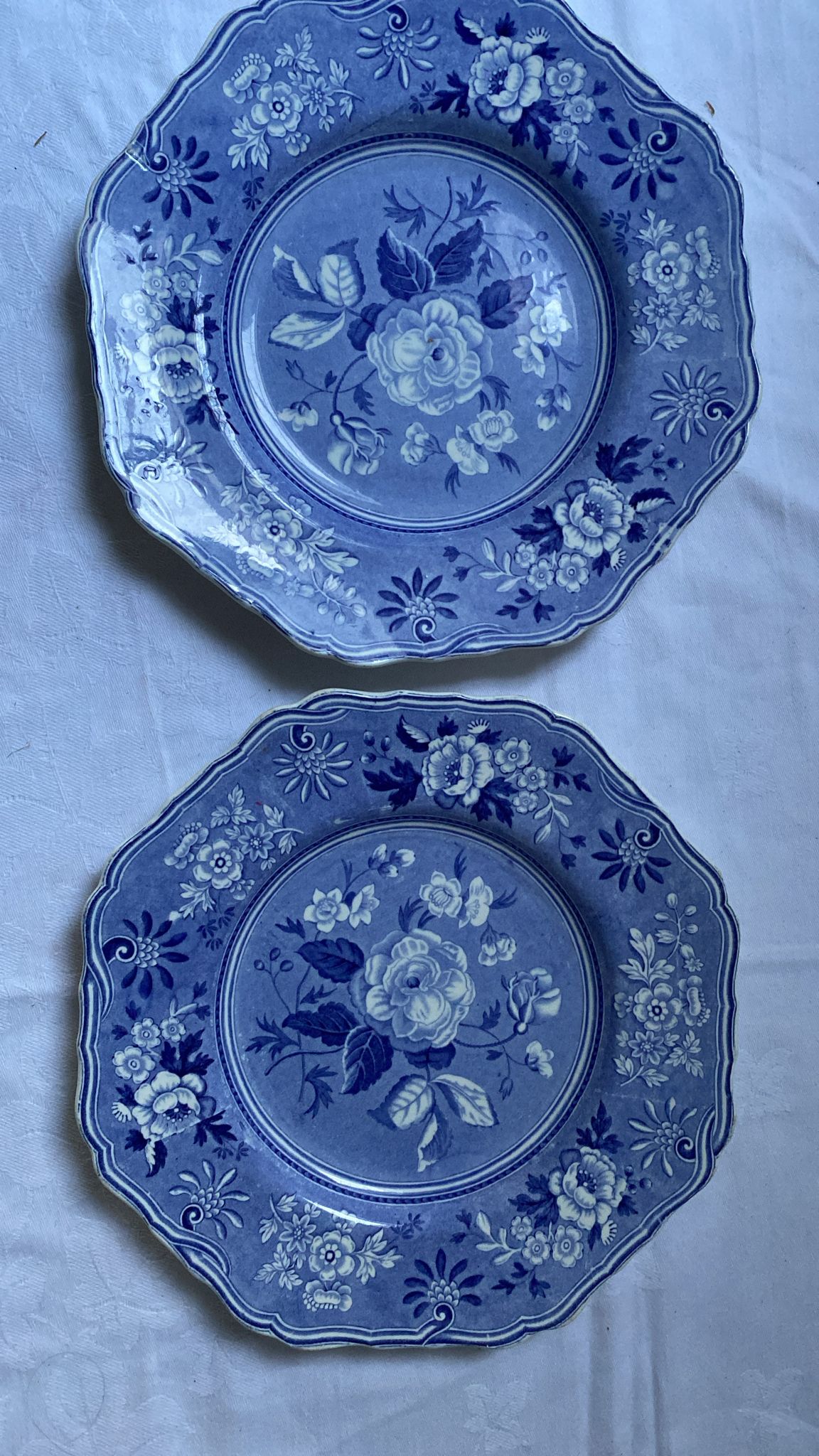SPODE PLATE