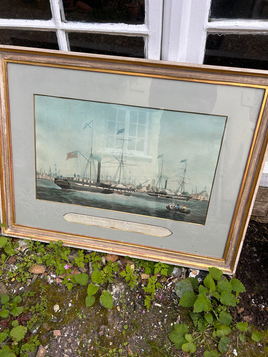 LARGE PICTURE