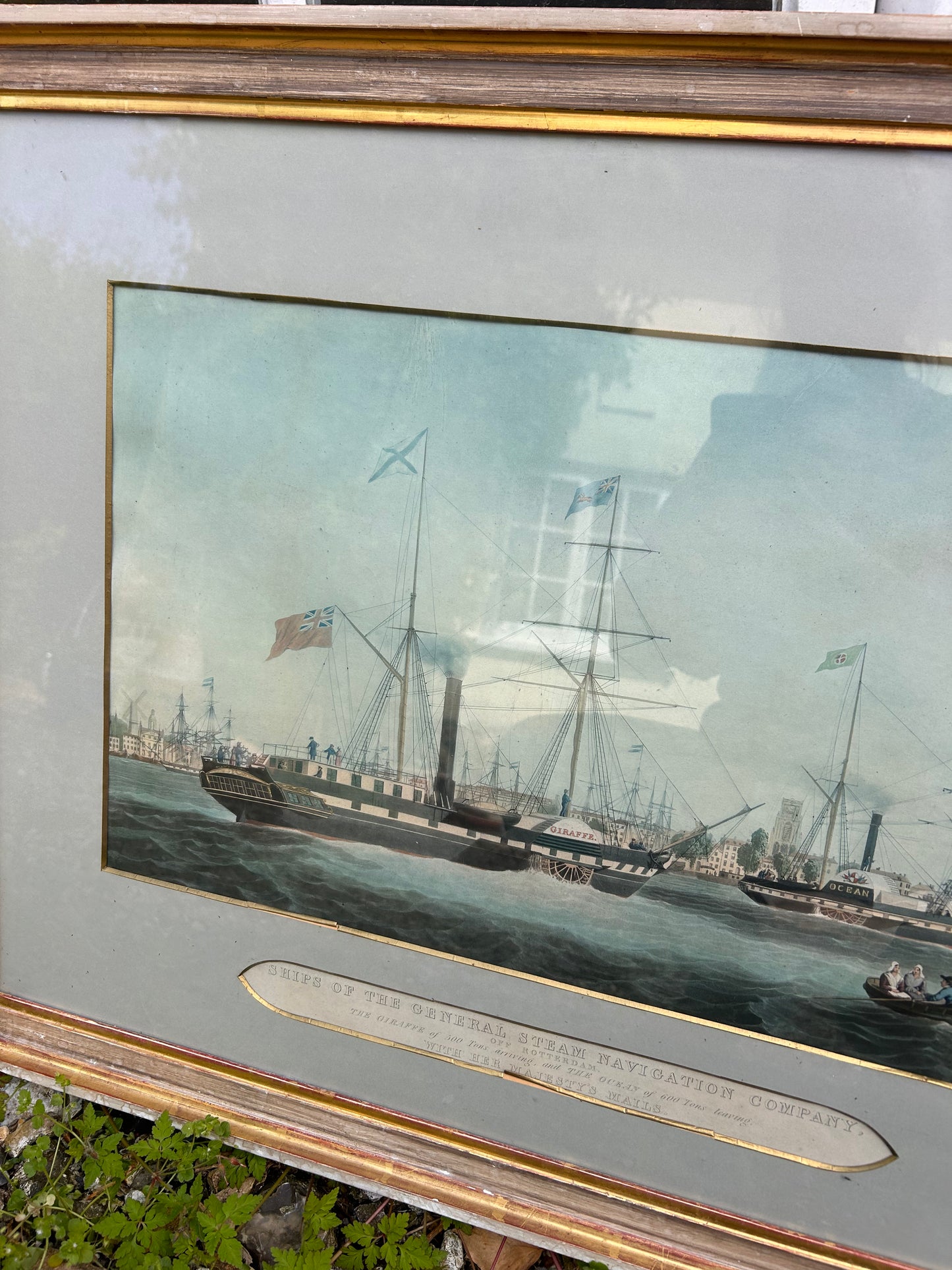 LARGE PICTURE