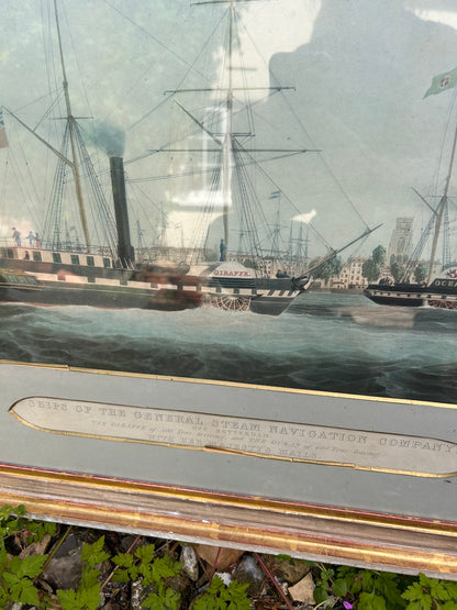 LARGE PICTURE
