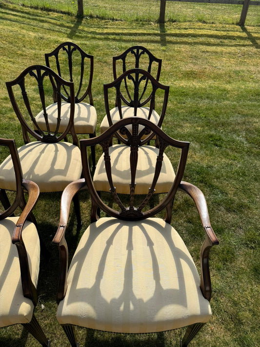 SET OF CHAIRS