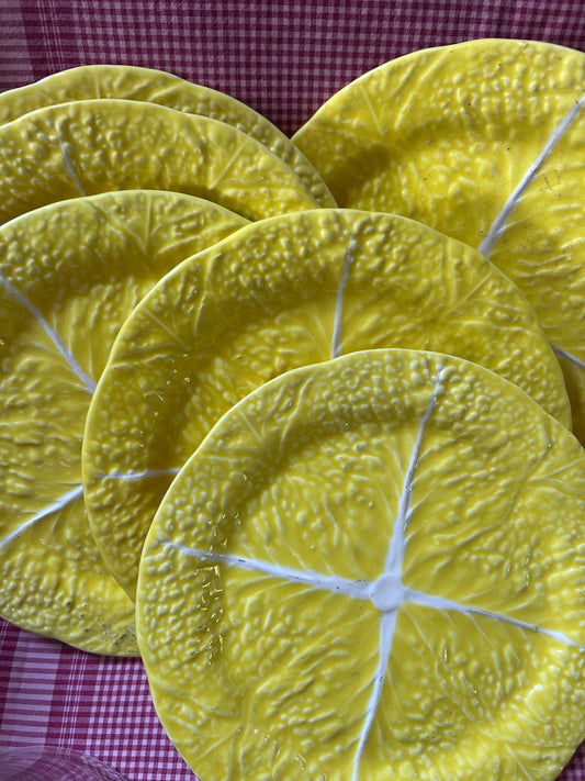 YELLOW CABBAGE PLATES