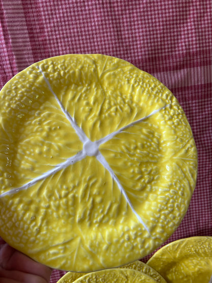 YELLOW CABBAGE PLATES