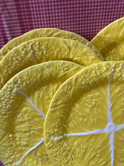 YELLOW CABBAGE PLATES