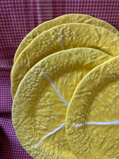 YELLOW CABBAGE PLATES