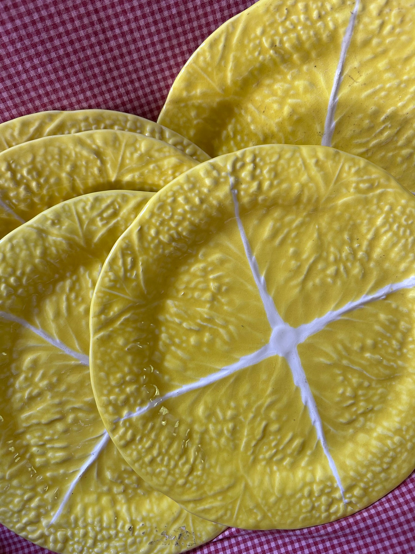YELLOW CABBAGE PLATES