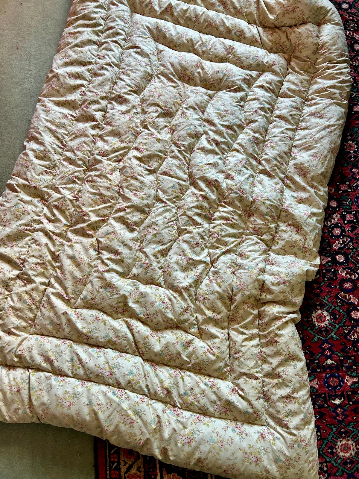 EIDERDOWN