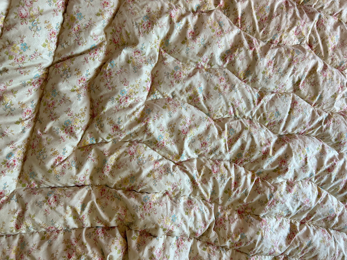 EIDERDOWN