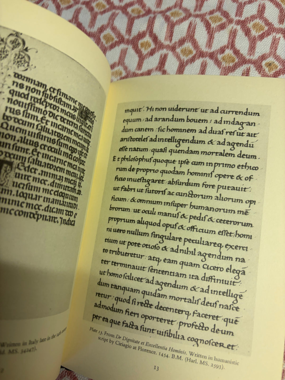 PENGUIN BOOK